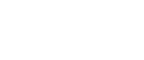 Logo of SnapShot, a digital marketing brand, featuring a camera icon and modern typography, representing web development services.